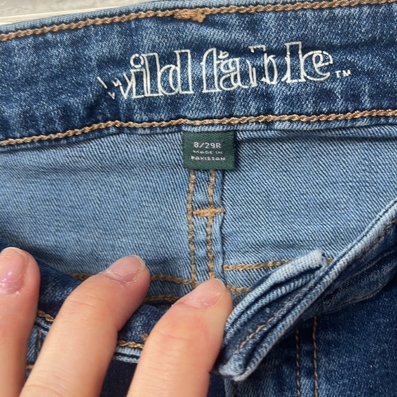 Wild Fable Denim Skinny Jean Pin Stripe Blue size 8 29 Regular - Picture 7 of 15